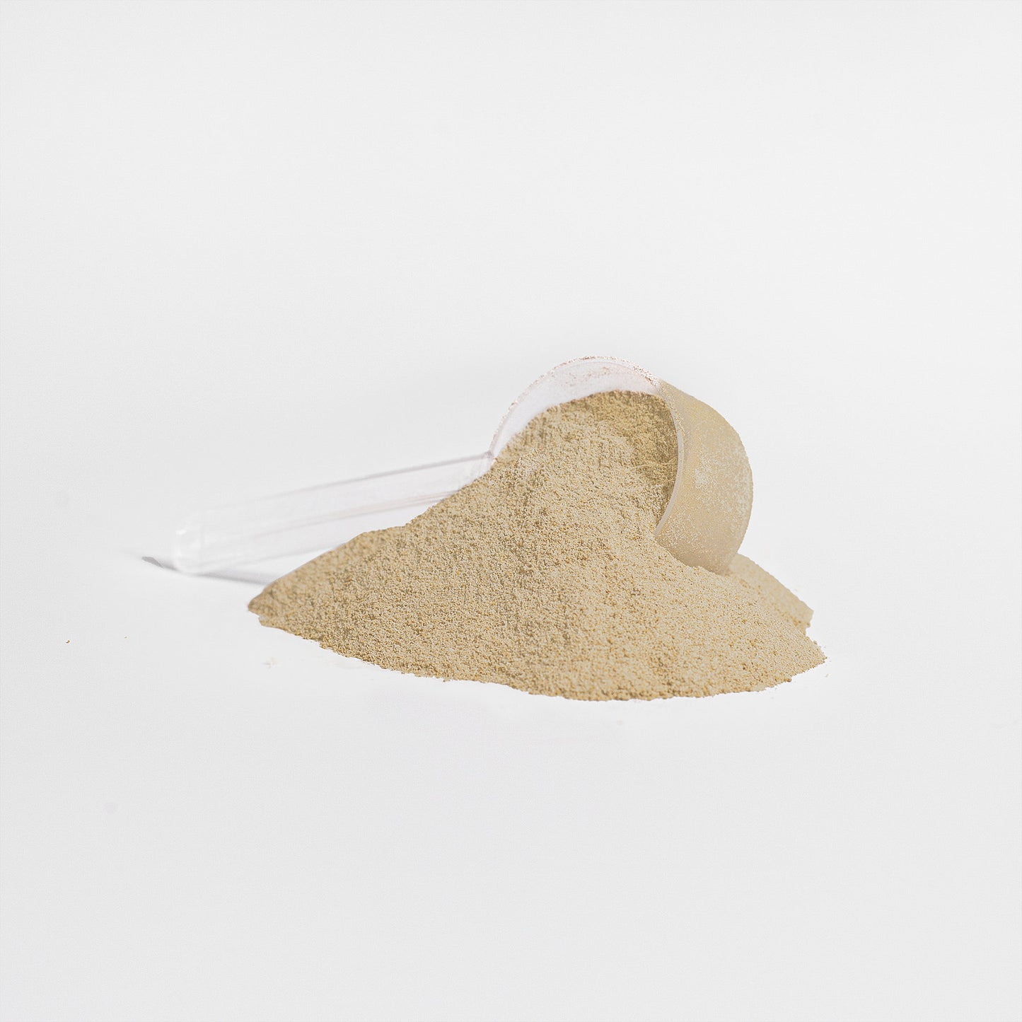 Whey Protein (Salty Caramelo)