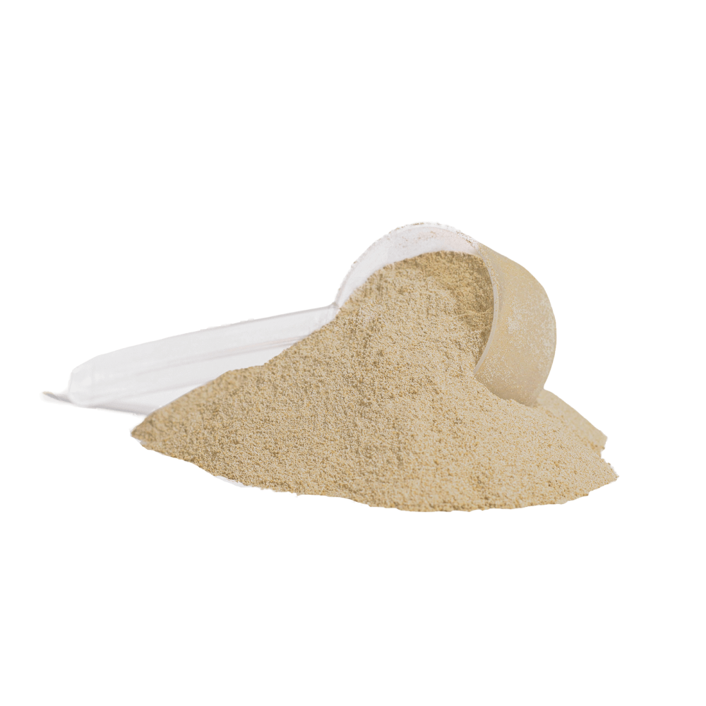 Whey Protein (Salty Caramelo)